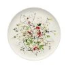 Rosenthal Brotteller 18 Cm Coupe Brillance Fleurs Sauvages